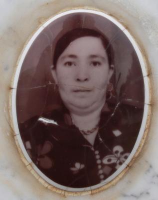 Sarah Cohen